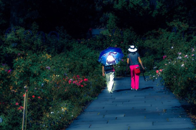 photo-20180702161037901