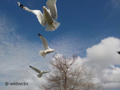 photo-20180709155706227